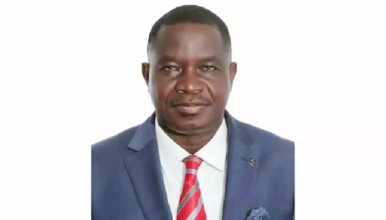 It’s shameful for any government not to pay minimum wage, protect workers’ rights – Etim, TUC deputy president - Punch Newspapers
