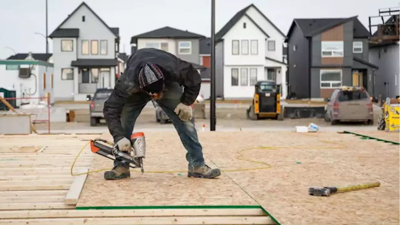 Why Ottawa's plan to ramp up construction might not bring down soaring home prices | CBC News