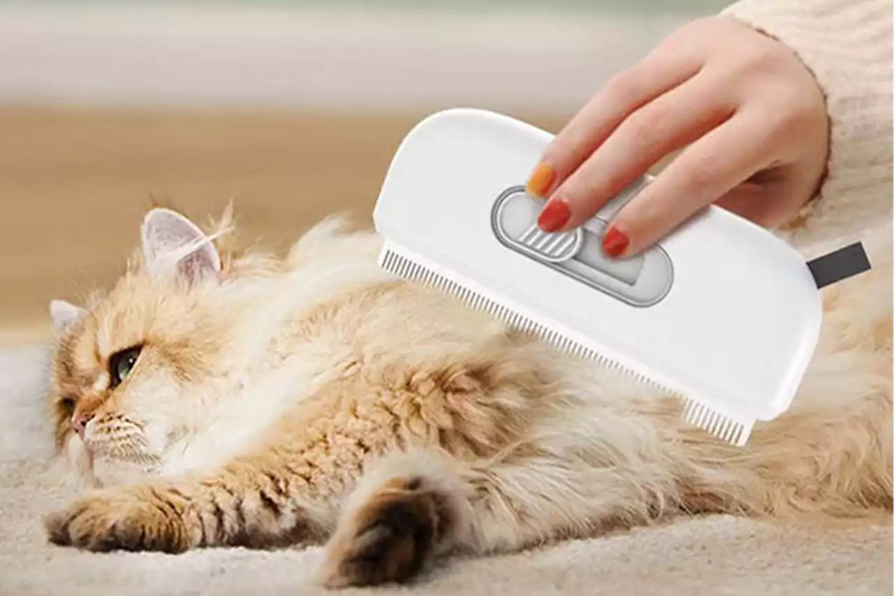 Get the lowest online price on this must-have pet hair remover