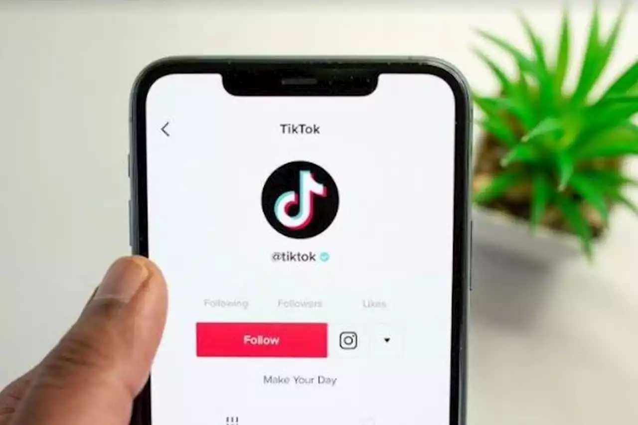 Fitur Baru TikTok, Pengguna Bisa Melihat Siapapun Pengunjung Profil dalam 30 Hari Terakhir - Pikiran-Rakyat.com