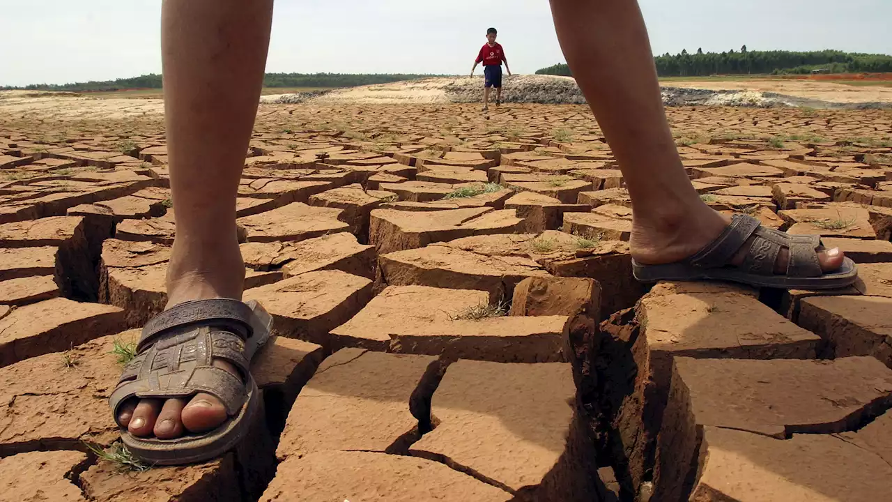 Le Nazioni Unite avvertono: fino al 2030 il mondo dovrà affrontare 560 catastrofi naturali ogni anno