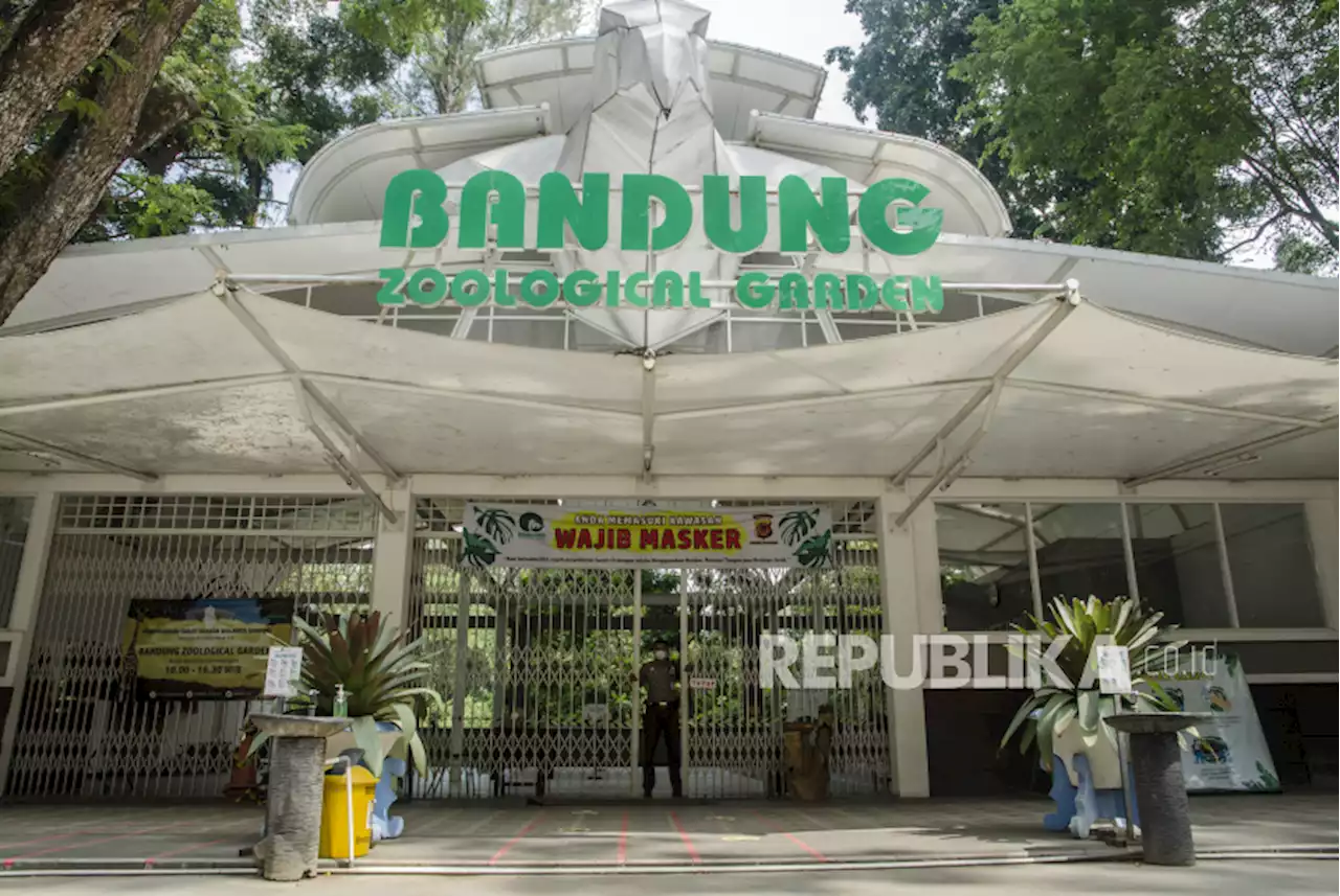 Antisipasi Lonjakan Libur Lebaran, Kebun Binatang Bandung Berbenah |Republika Online