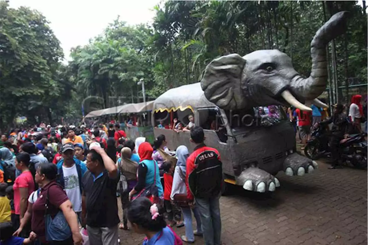 3 Mei Libur Lebaran, Taman Margasatwa Ragunan Batasi Pengunjung 75 Persen