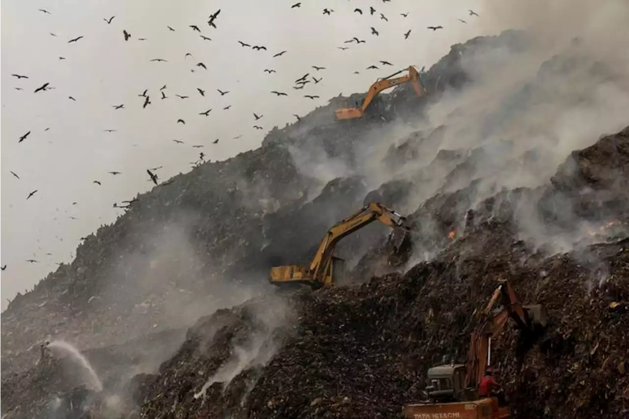 Derita Warga India yang Tinggal Dekat Gunung Sampah di New Delhi