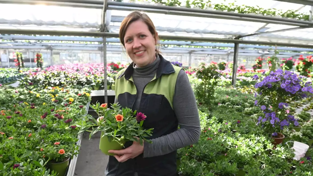 München: Blumen für Balkon und Garten werden immer beliebter