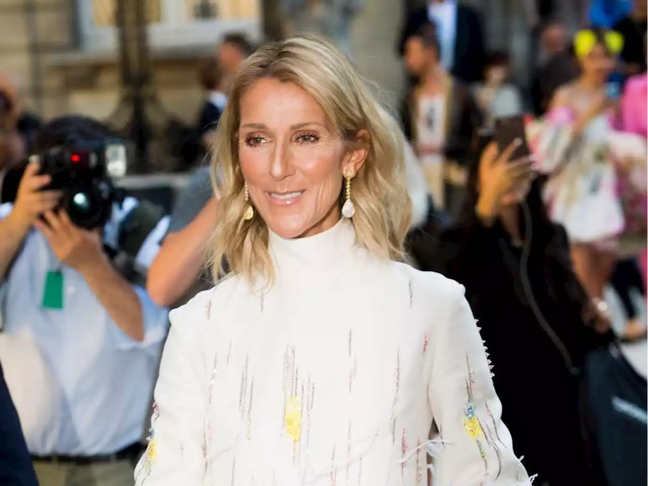 Celine Dion postpones tour again amid ongoing health battles