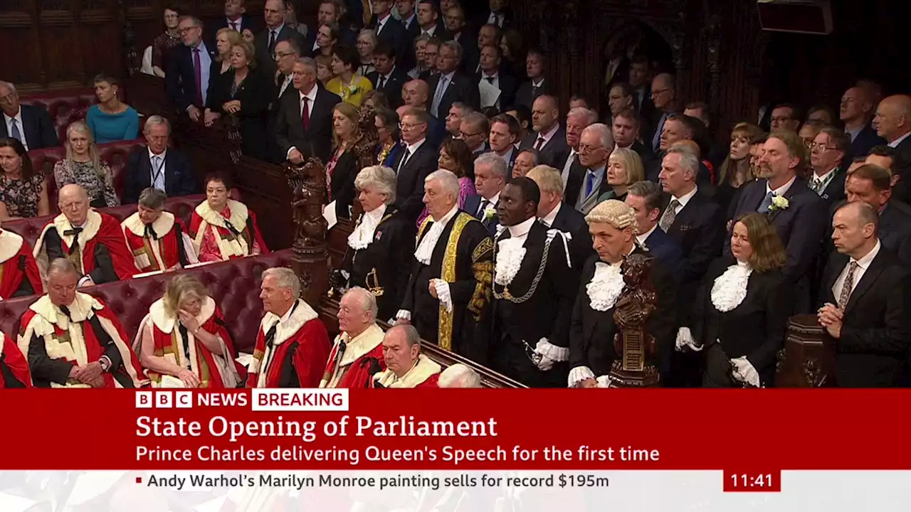 Queen's Speech: Prince Charles delivers speech focused on economy and protesters - BBC News