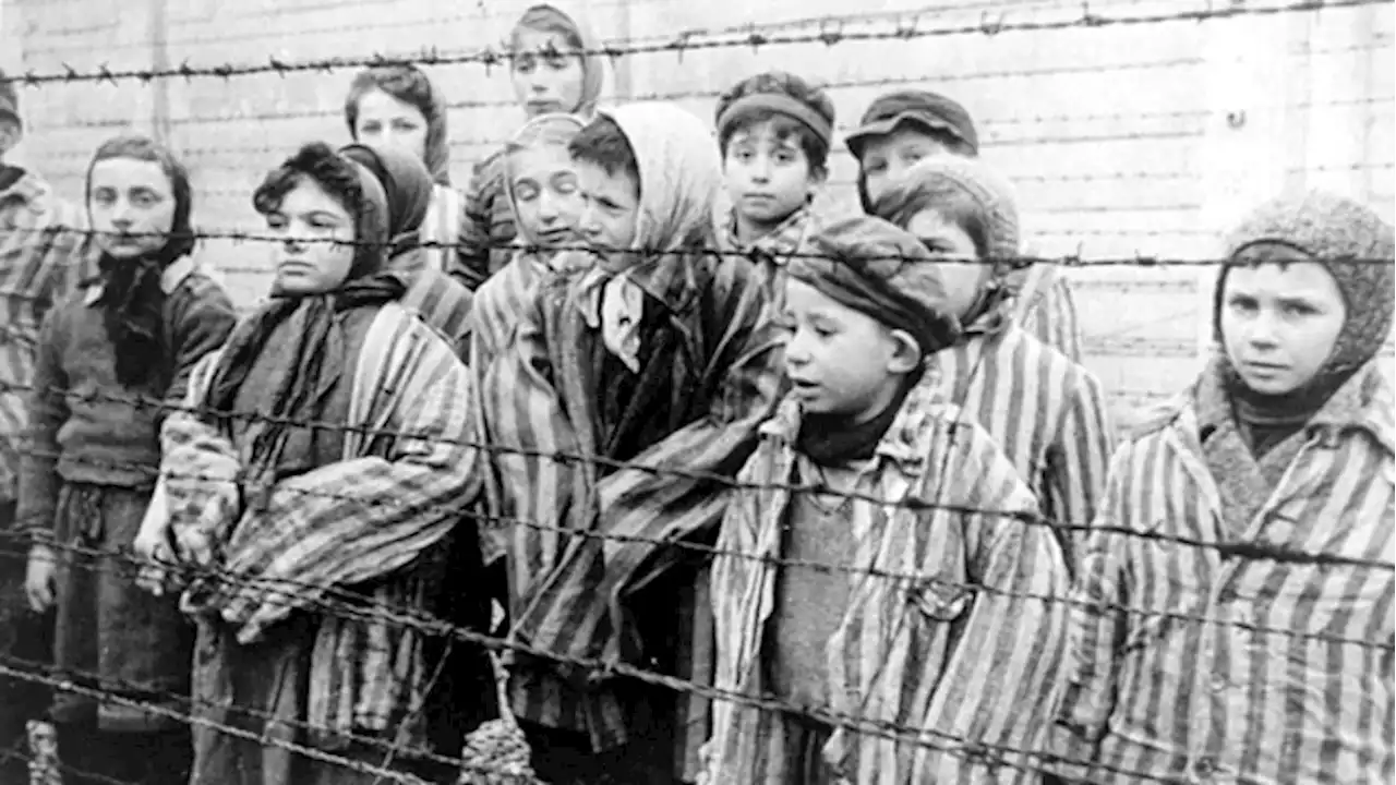 Canada plans to criminalize Holocaust denial. It could be unconstitutional | CBC News