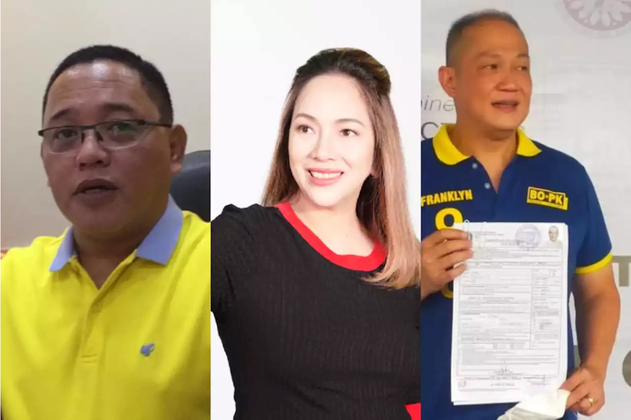 Cebu City polls: Tumulak, Mabatid, Ong concede