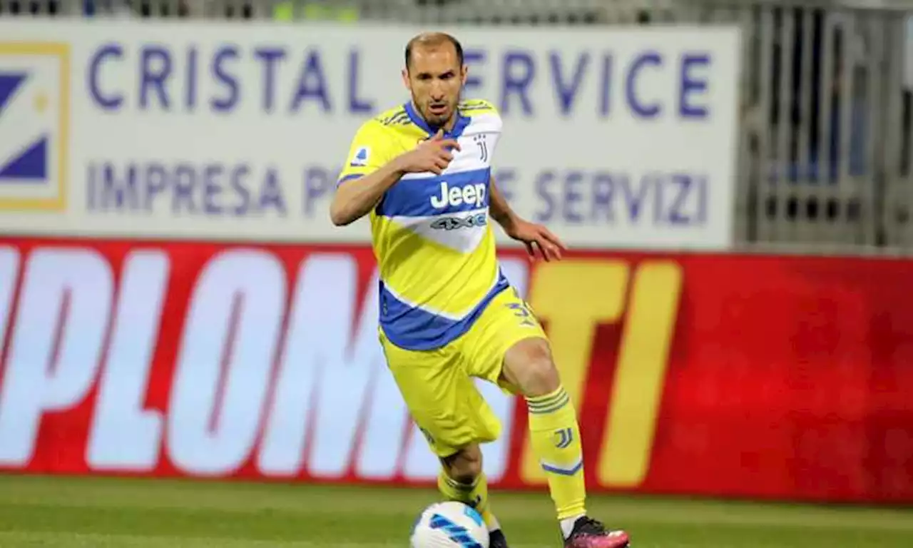 Juve, Chiellini LIVE: 'Vincere la Coppa Italia per tornare a vincere lo scudetto l'anno prossimo'