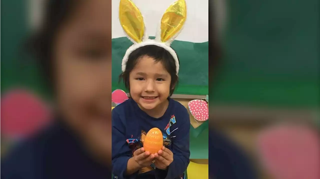 Advocates call for a national Indigenous alert system as search for Sask. child continues
