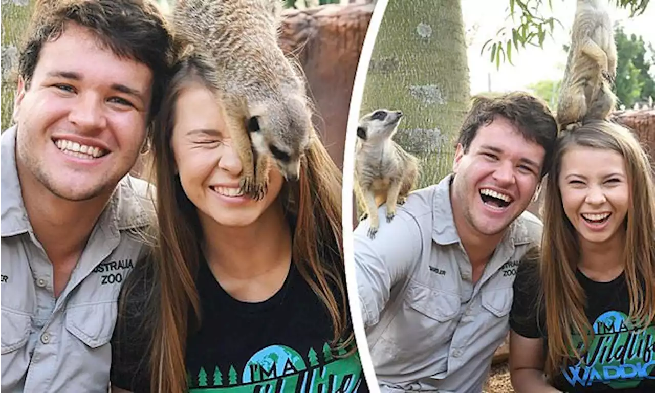 Bindi Irwin reveals favourite moment ever with husband Chandler Powell