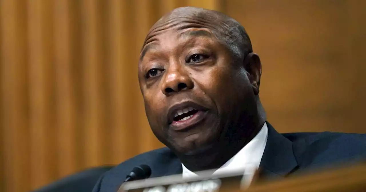 Tim Scott confronts Janet Yellen for saying abortion boosts economy: 'Harsh'