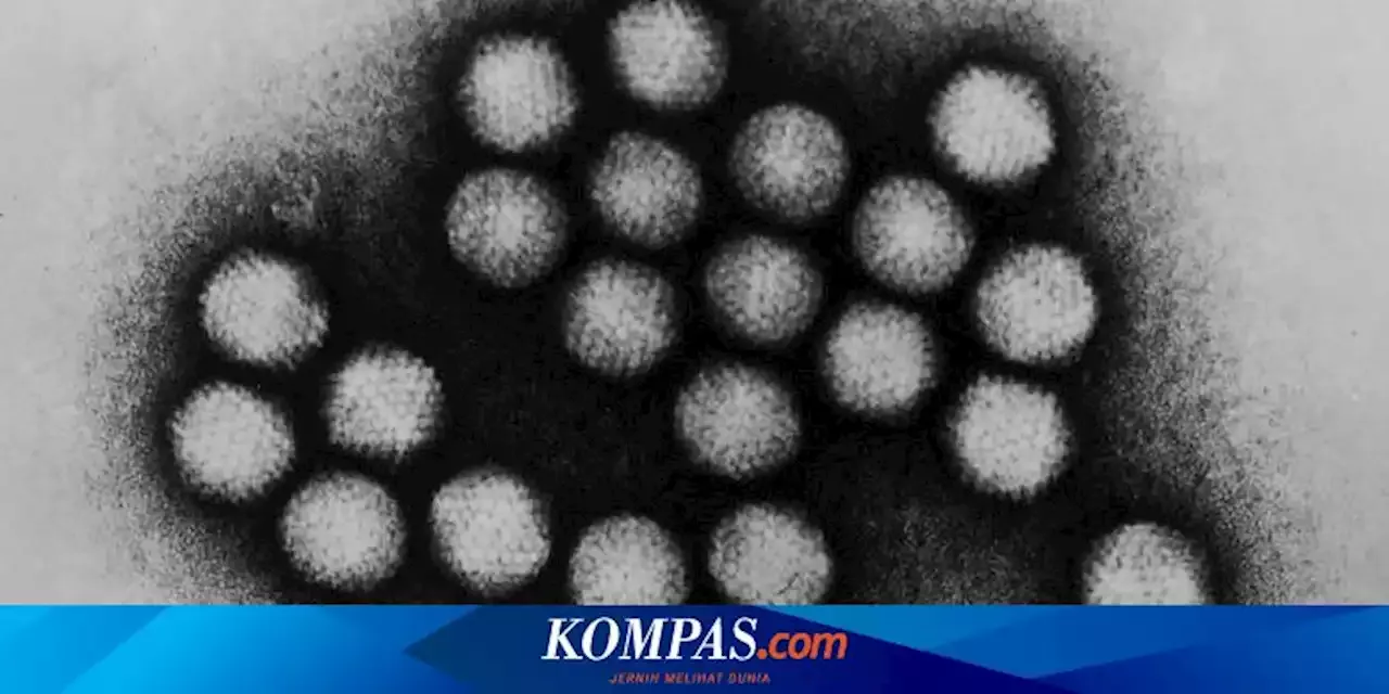 Cara Mencegah Penularan Hepatitis Akut Dan Gejala Yang Perlu Diwaspadai