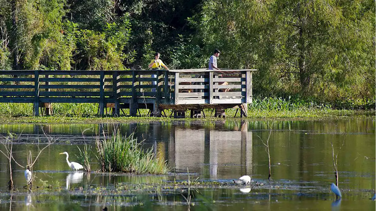 🔒Family trip planning? These Texas parks with camping are a great option for Houston families in search of outdoor adventure