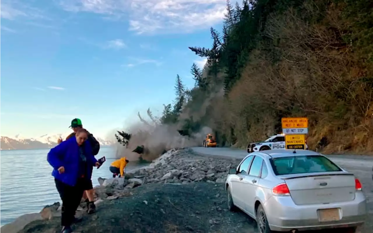 Cleanup underway after trees topple into Alaska road, bay