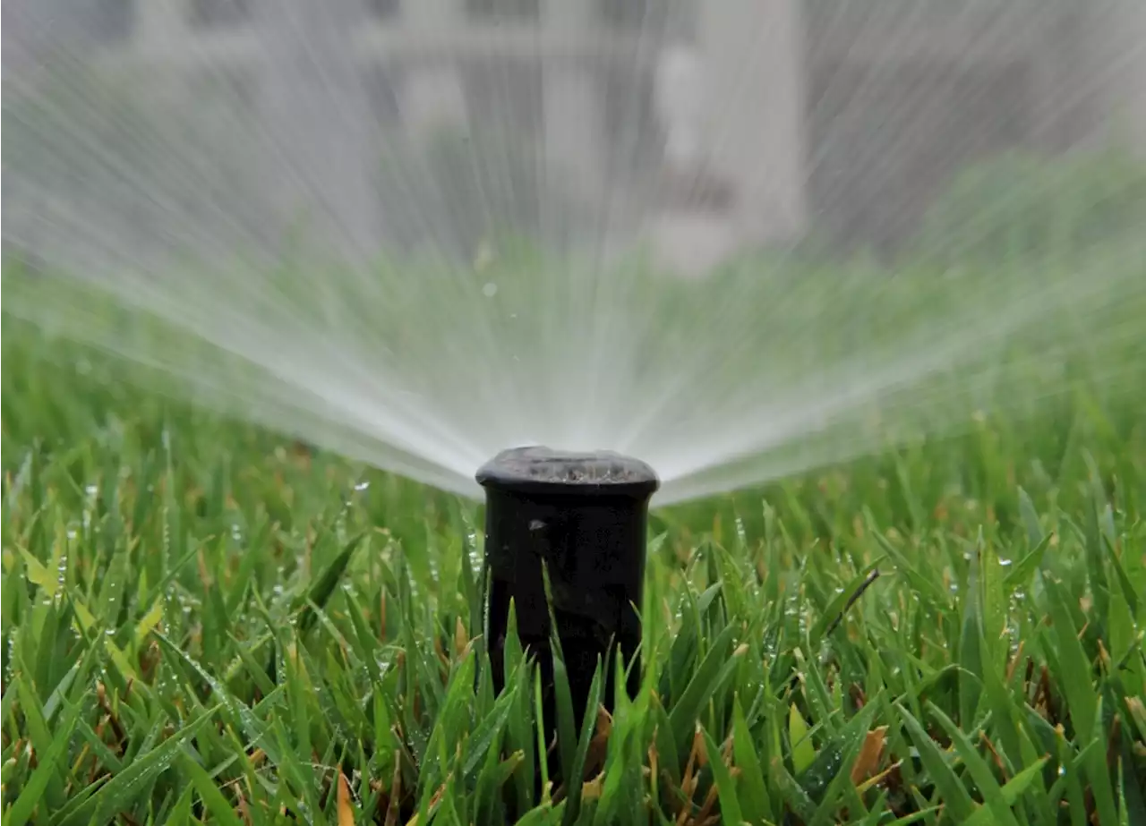 LA restricts outdoor watering to combat drought