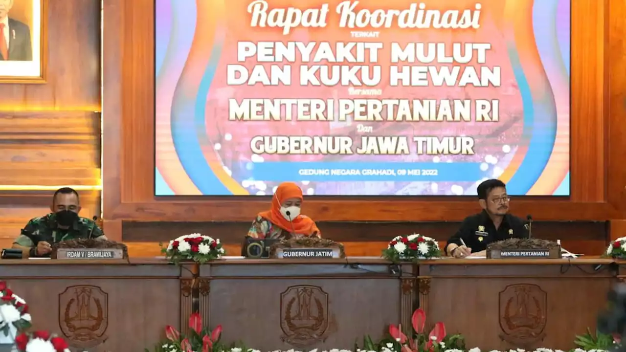 Kementan Siapkan Strategi untuk Atasi Penyakit Mulut dan Kuku Hewan