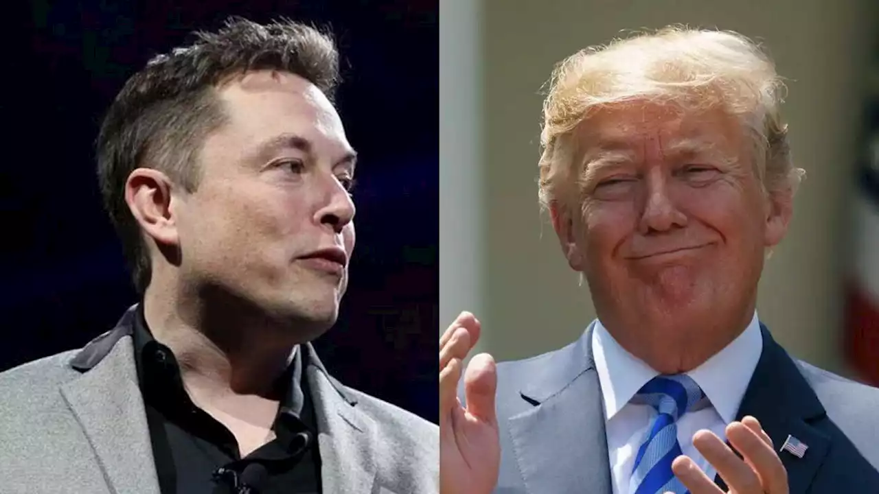 Elon Musk quiere levantar la prohibición a Trump de usar Twitter