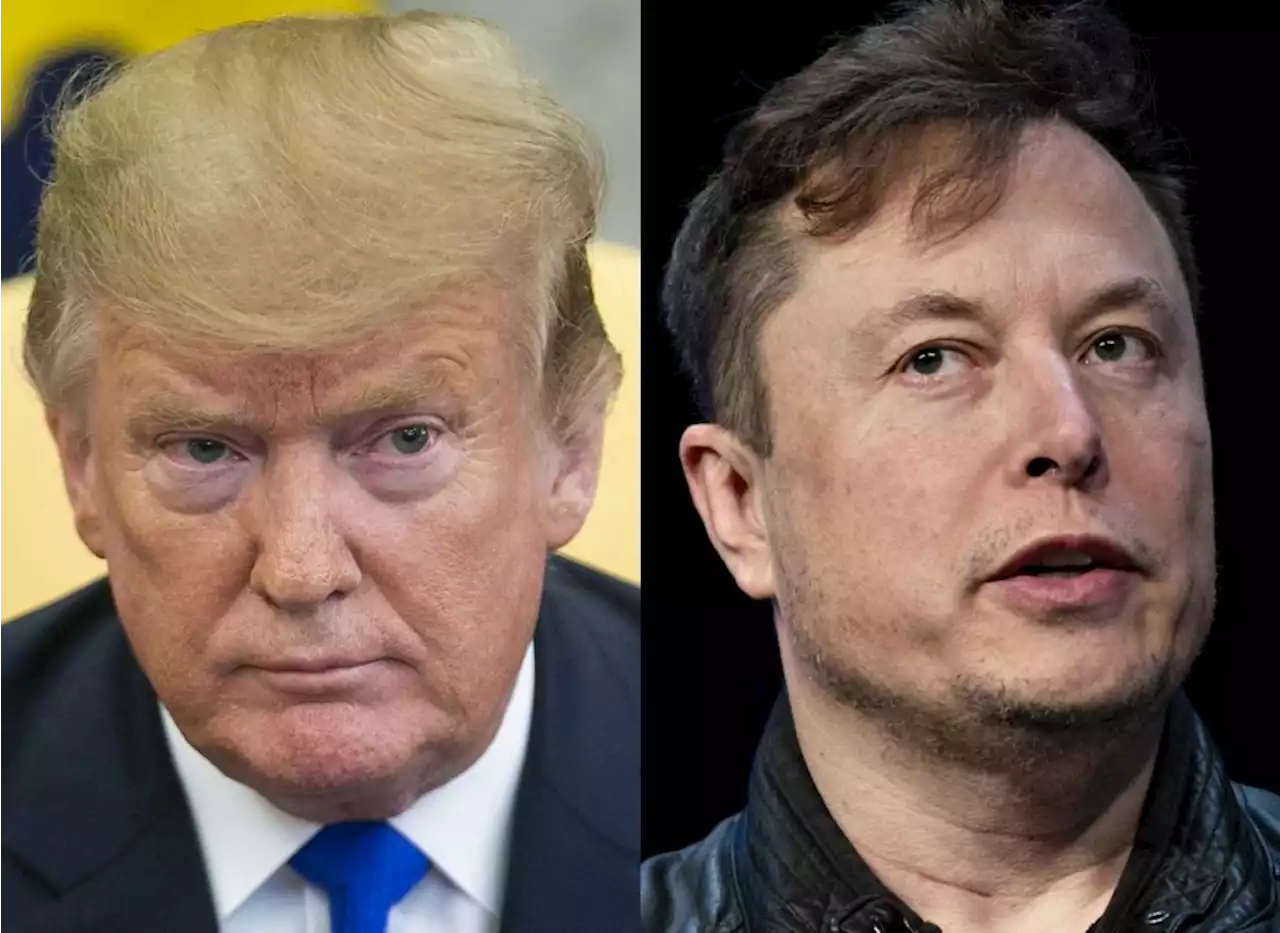 Musk on Trump: ‘I would reverse the Twitter ban’