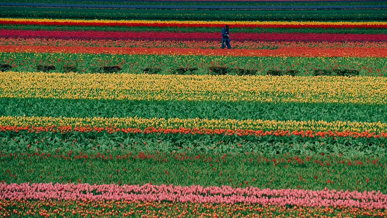 30 mesmerizing photos from the Nat Geo archives that will grab your attention