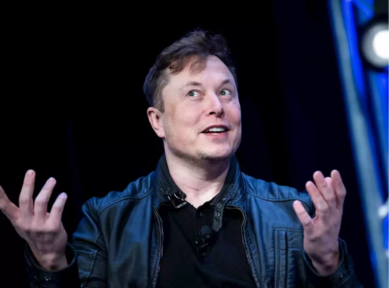 'Free speech absolutist': Musk says he would reverse Twitter ban on Donald Trump