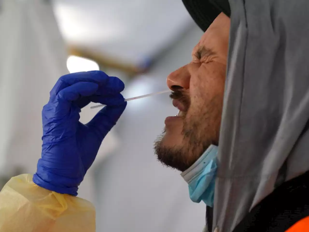 Scientists question the point of swabs up everyone’s nose: ‘We might have overdone it’