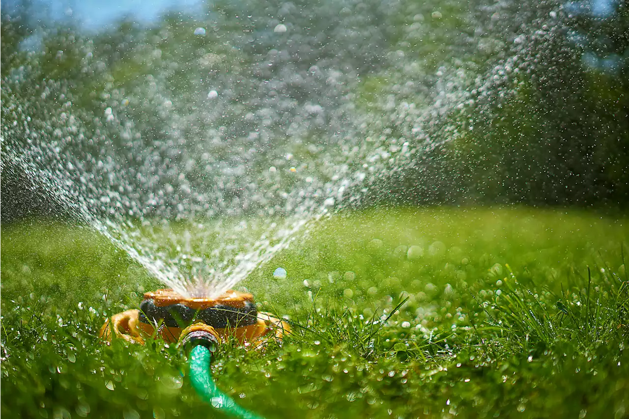 Santa Clara Valley Water District to Crack Down on Water Wasters