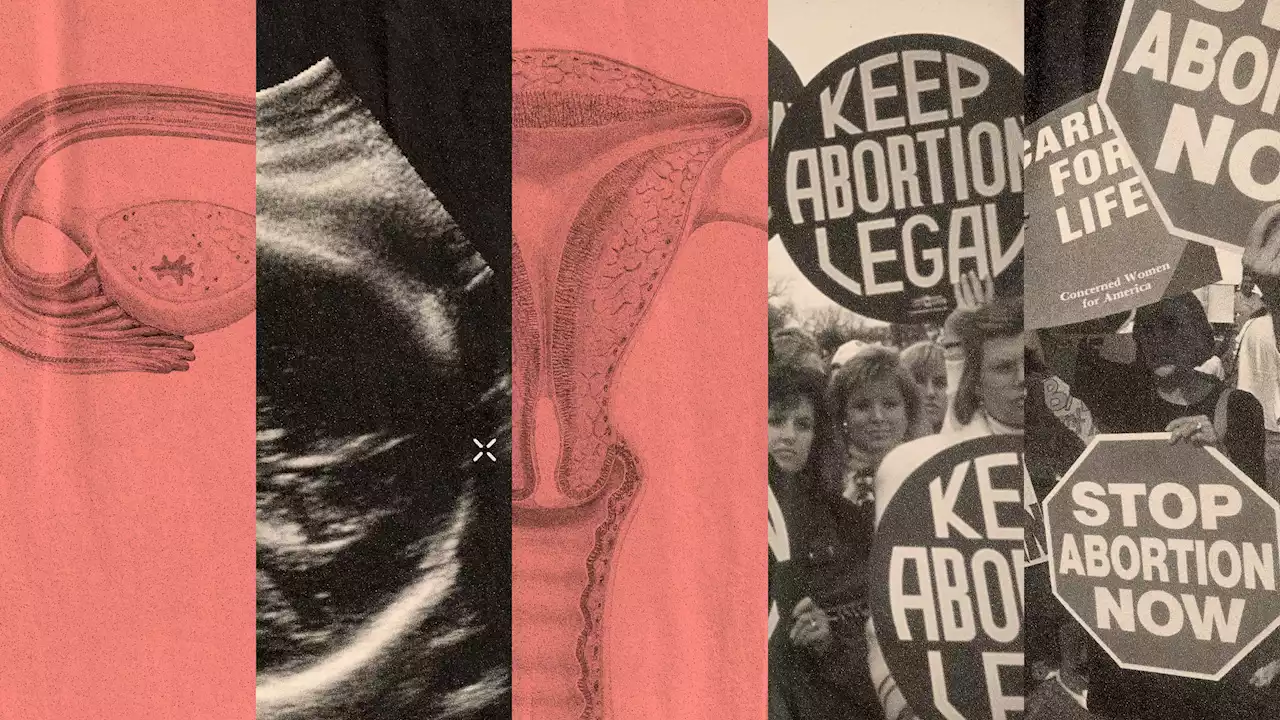 ‘We cannot go back’: People share their stories of abortion and access