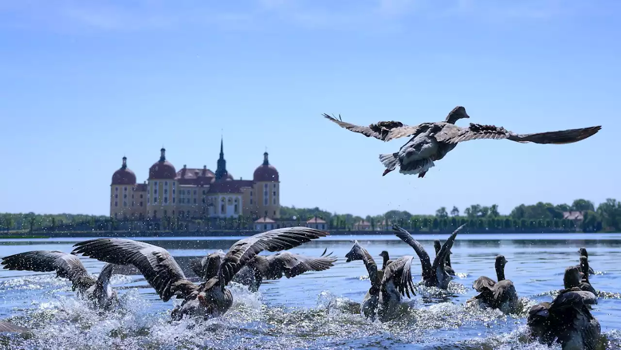 Das war Dienstag, der 10. Mai 2022