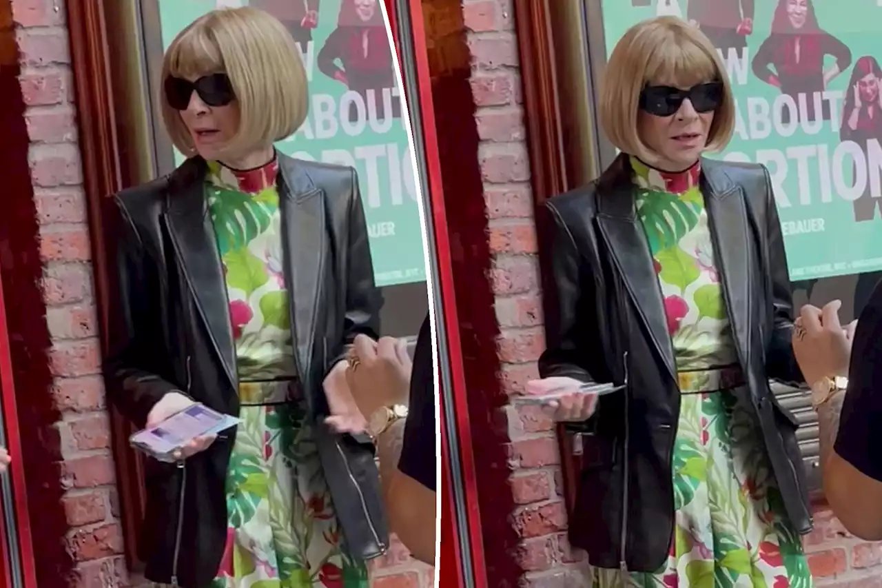 Anna Wintour appears shocked when asked to show ID at public event