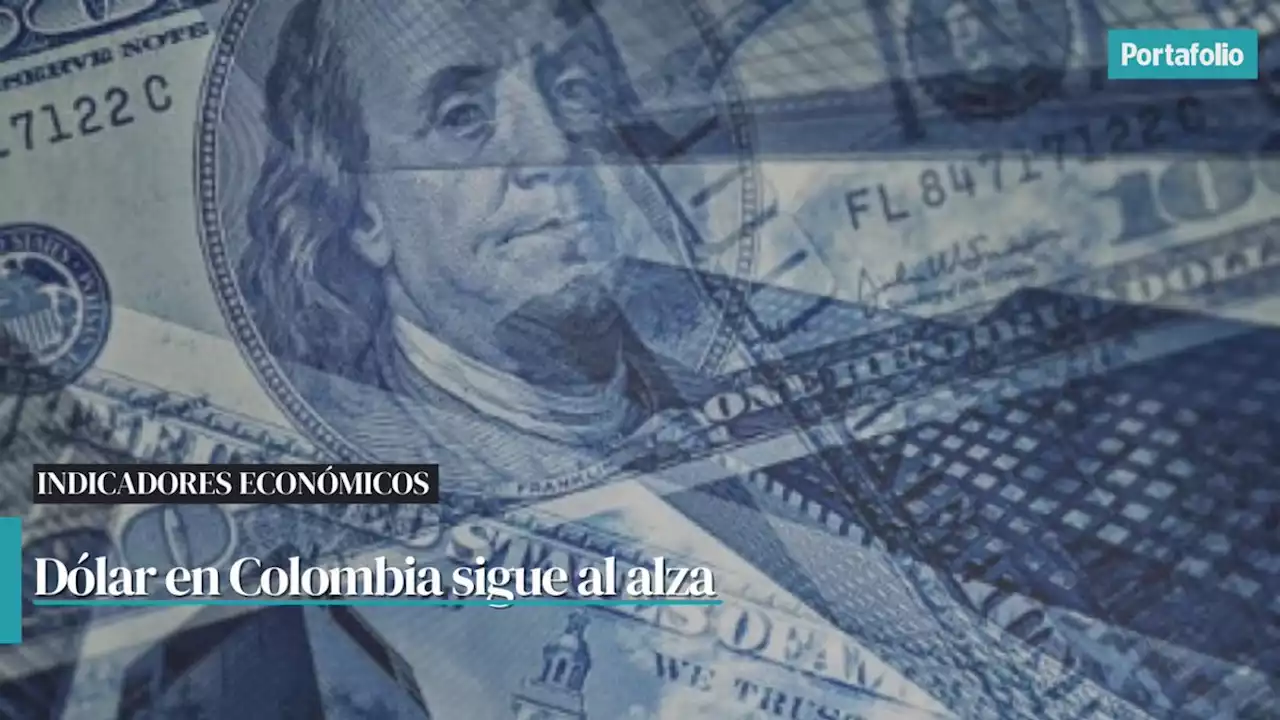 El dólar registró un leve aumento en la jornada de este martes