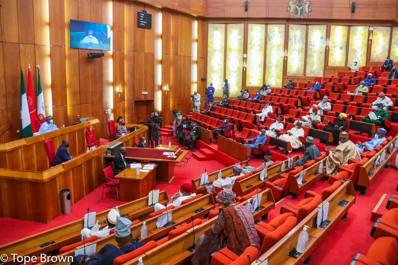 Senate amends Electoral Act to allow statutory delegates to vote at party meetings