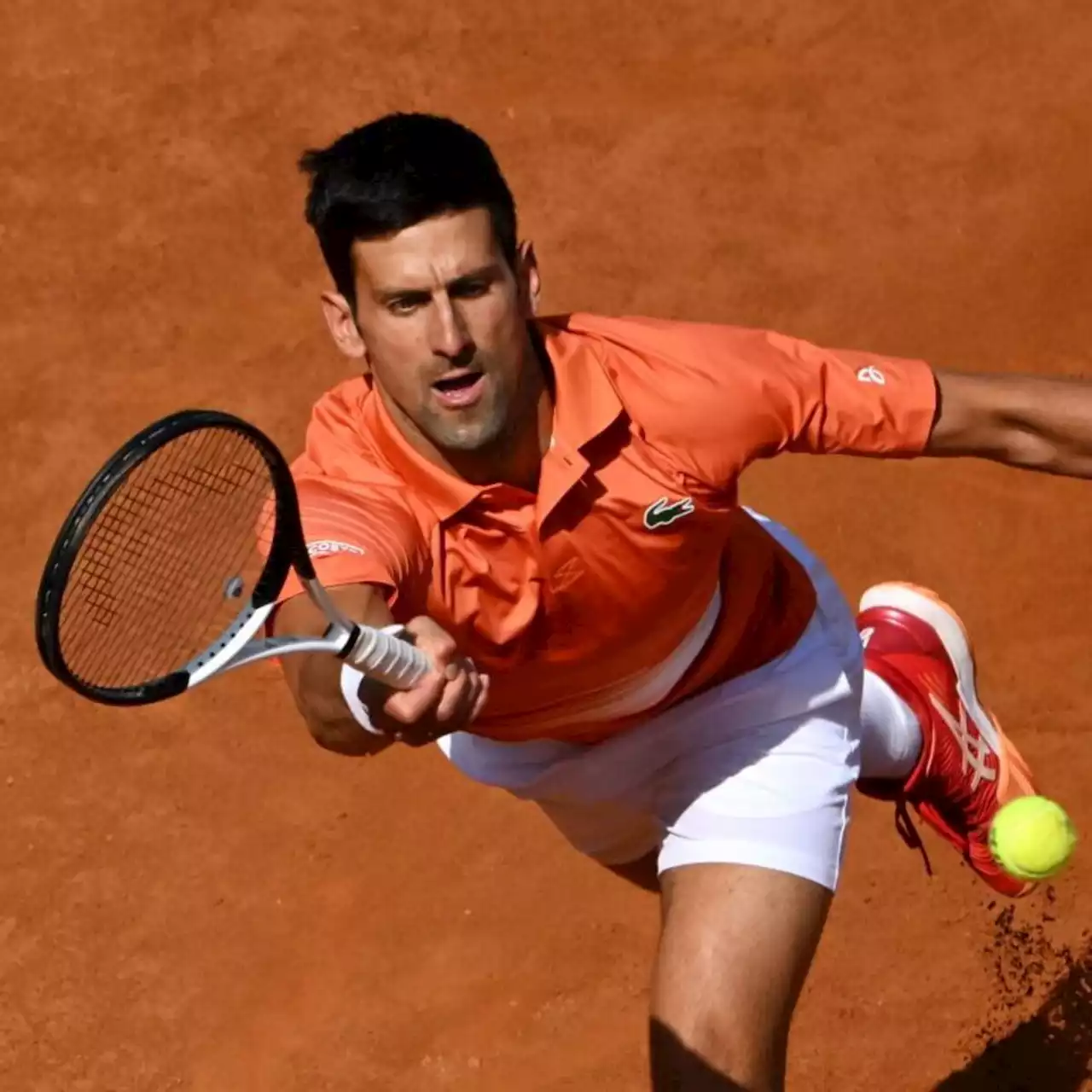 Internazionali d&#39;Italia: Djokovic vince in scioltezza su Karatsev, Ostapenko eliminata