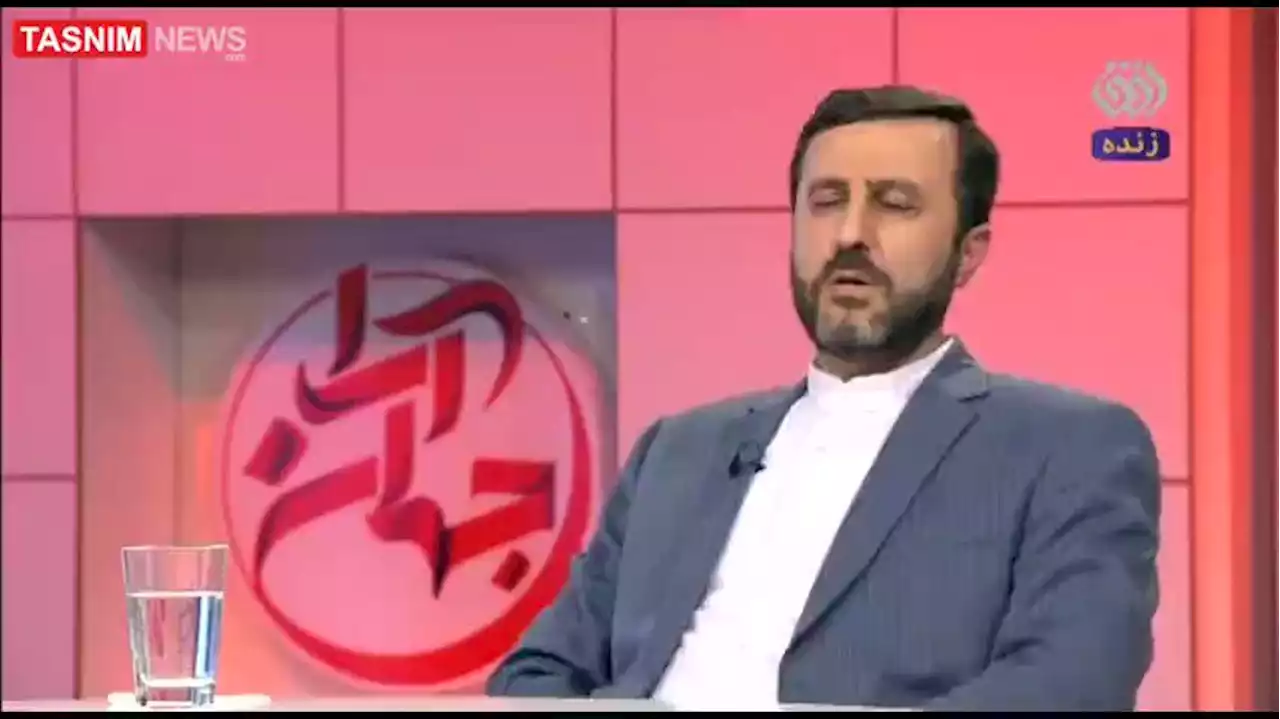 غریب‌آبادی: سوئد سال‌هاست در قبال ایران رویکرد تخاصمی در پیش‌ گرفته/ جاسوسی احمدرضا جلالی منجر به شهادت دانشمندان ایران شد- اخبار حقوقی و قضایی - اخبار اجتماعی تسنیم | Tasnim