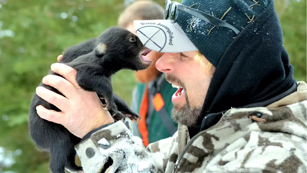 ‘Bear Whisperer’ Star Charged With Poaching Bear Whose Killing Was Aired on His Show