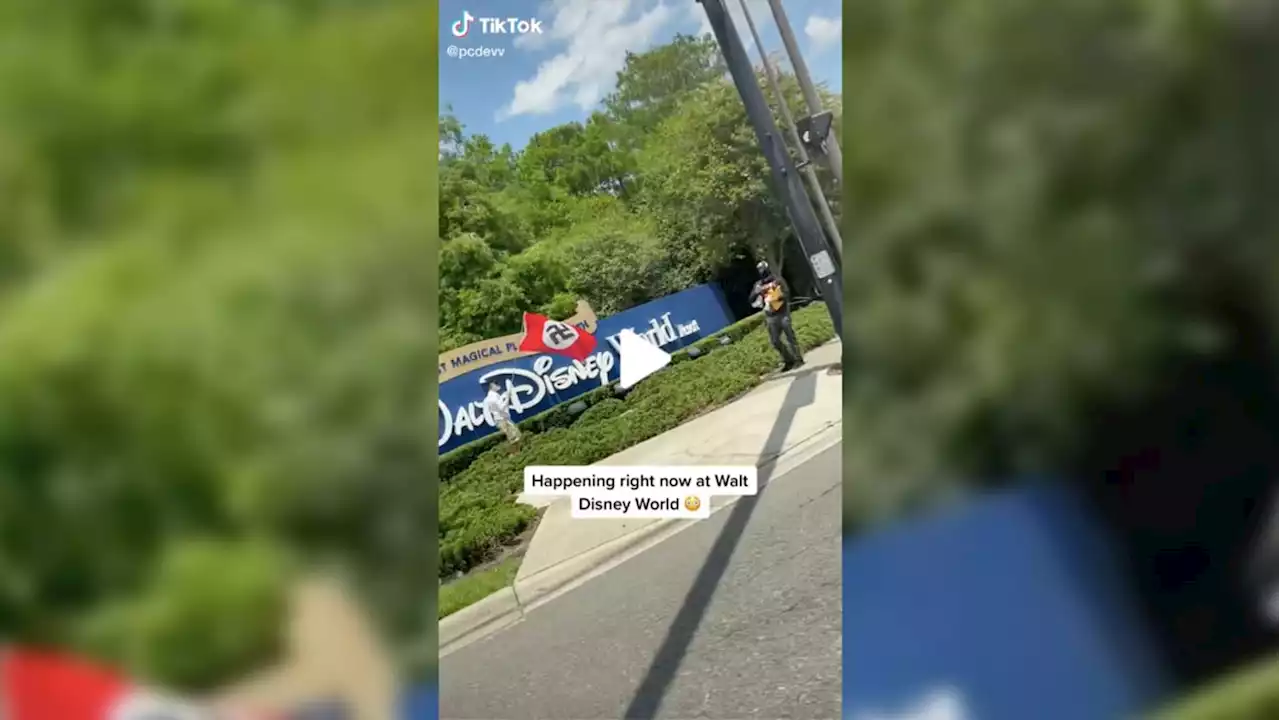 Neo-Nazis Demonstrate Outside Disney World Entrance