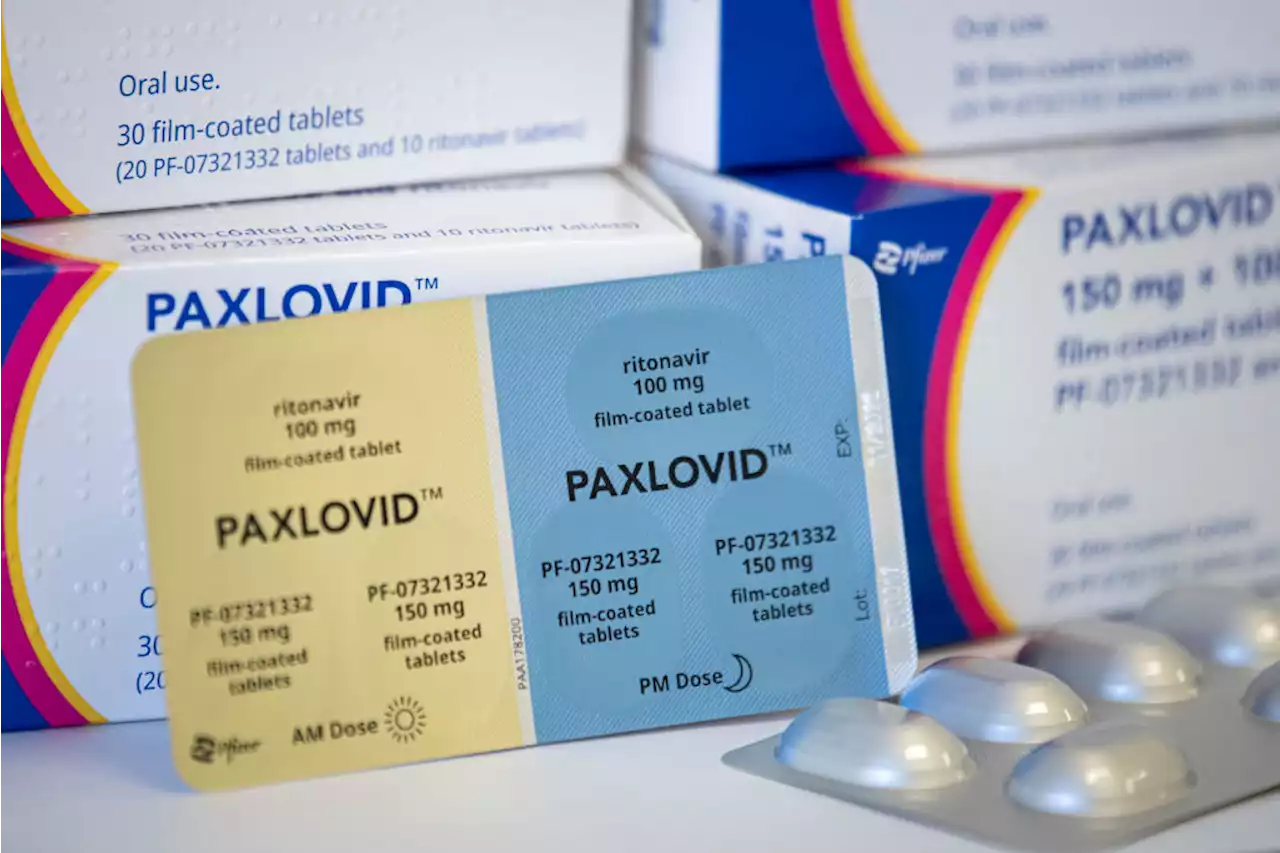 Here’s What You Need to Know About Paxlovid