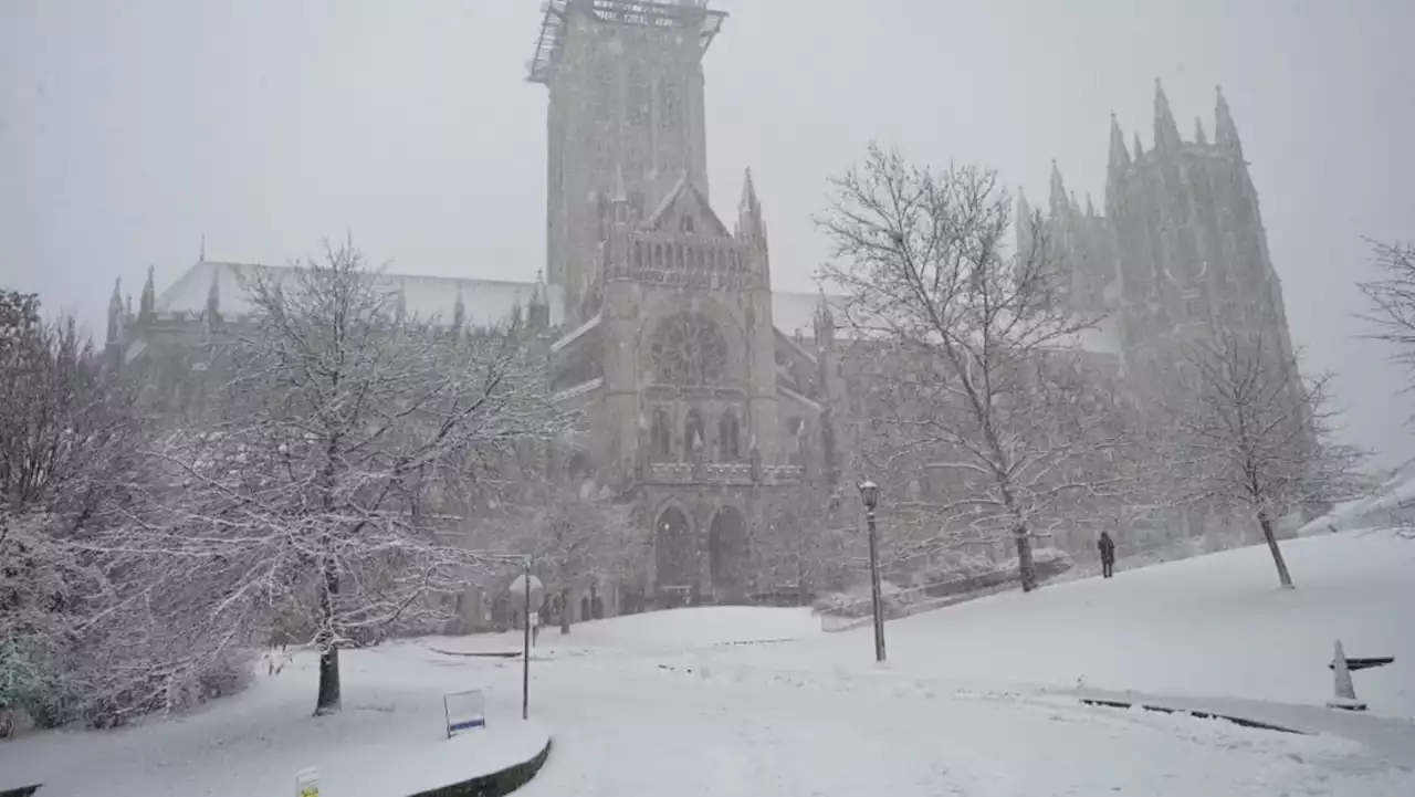 US cathedral bells toll 1,000 times for one million Covid-19 deaths
