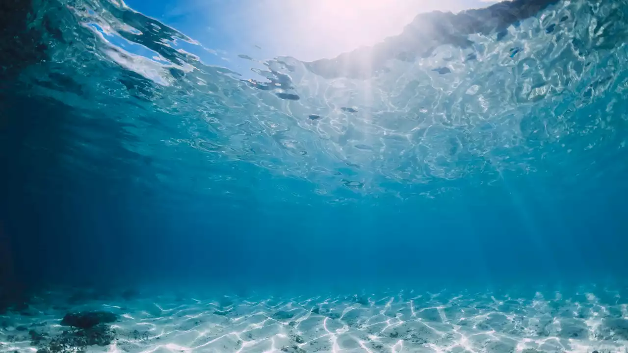 Bandiere Blu 2022: le migliori spiagge italiane