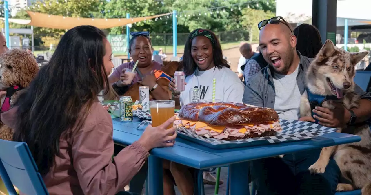 Dog Bars Are a Booming Business in DC