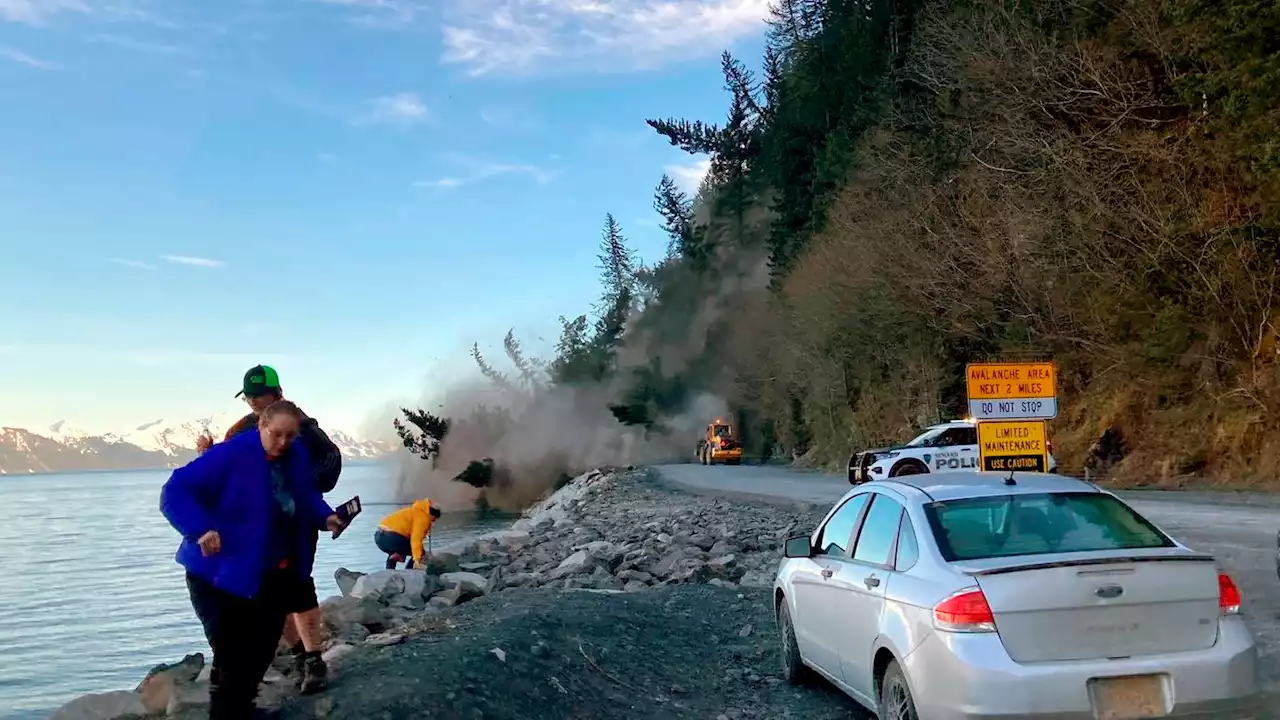 Cleanup underway after trees topple into Alaska road, bay