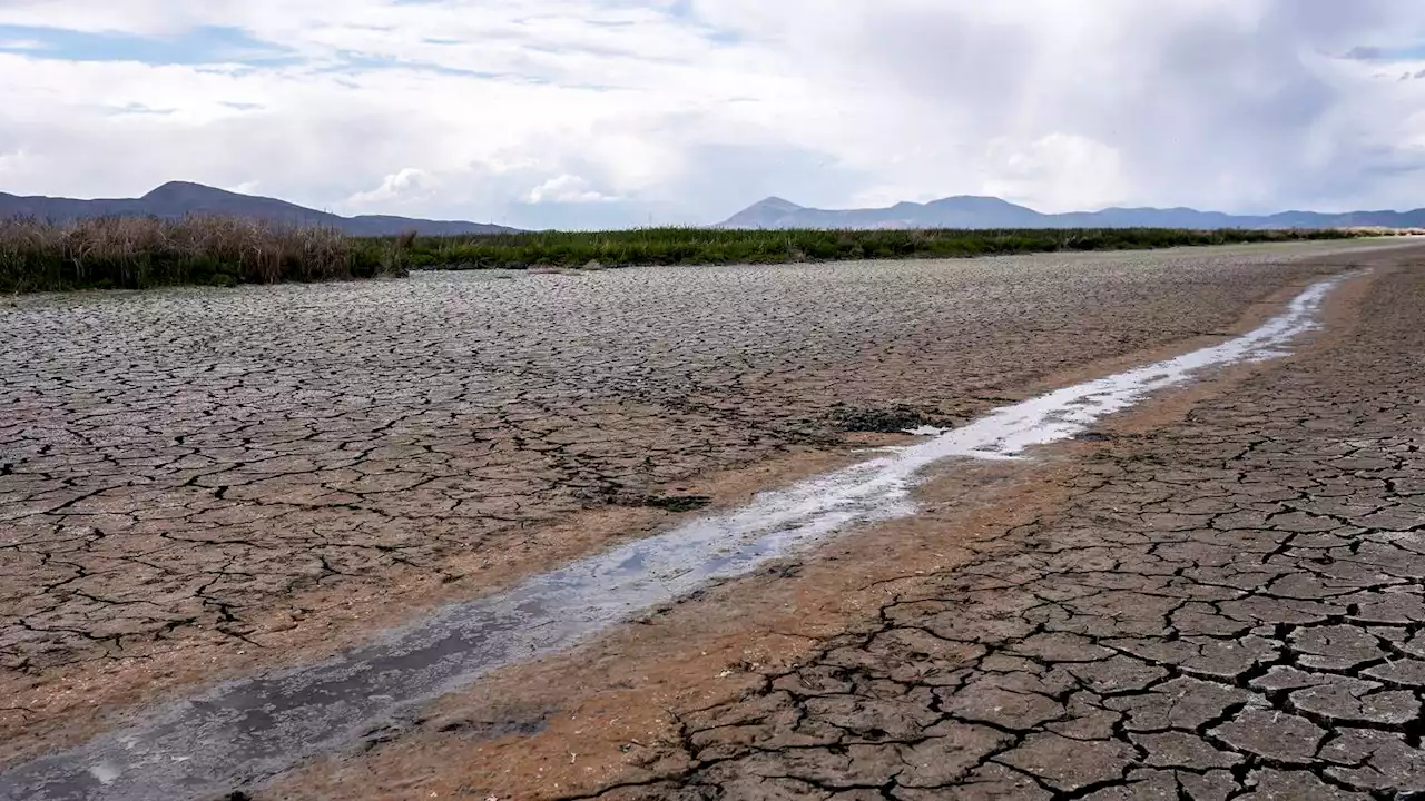 In drought-ravaged California, water use is up dramatically