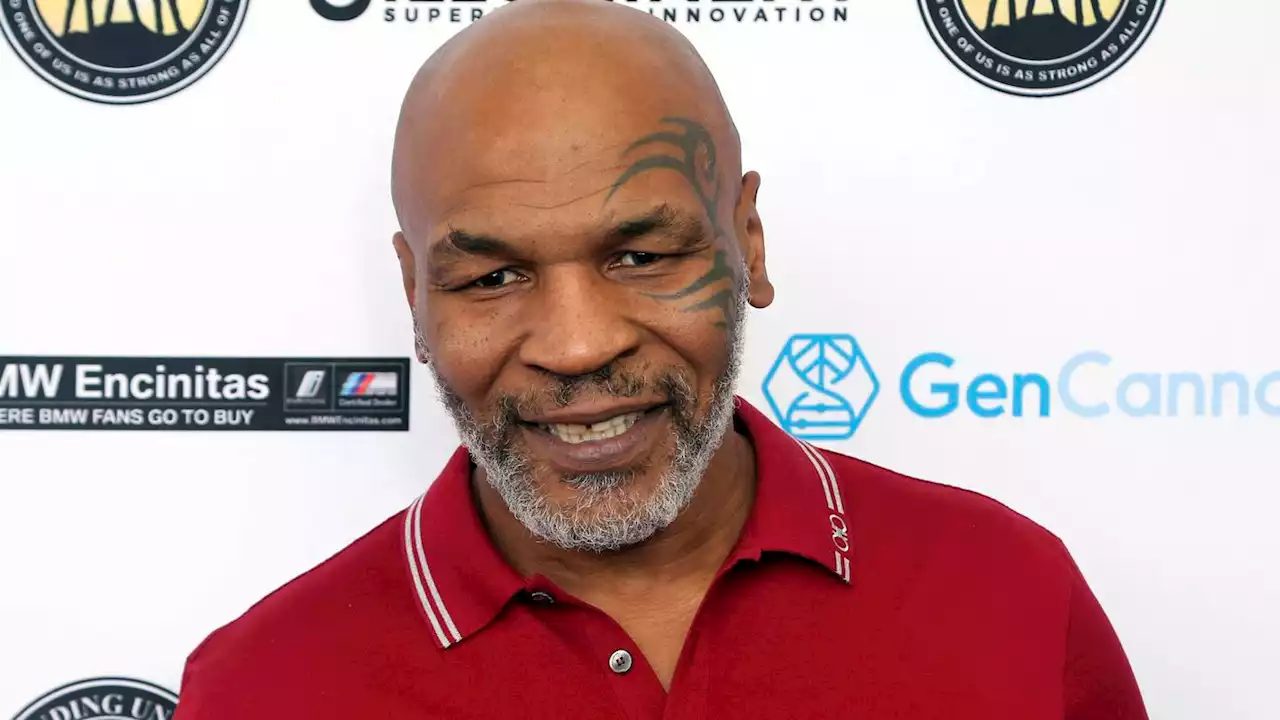 No charges for Mike Tyson for punching airplane passenger