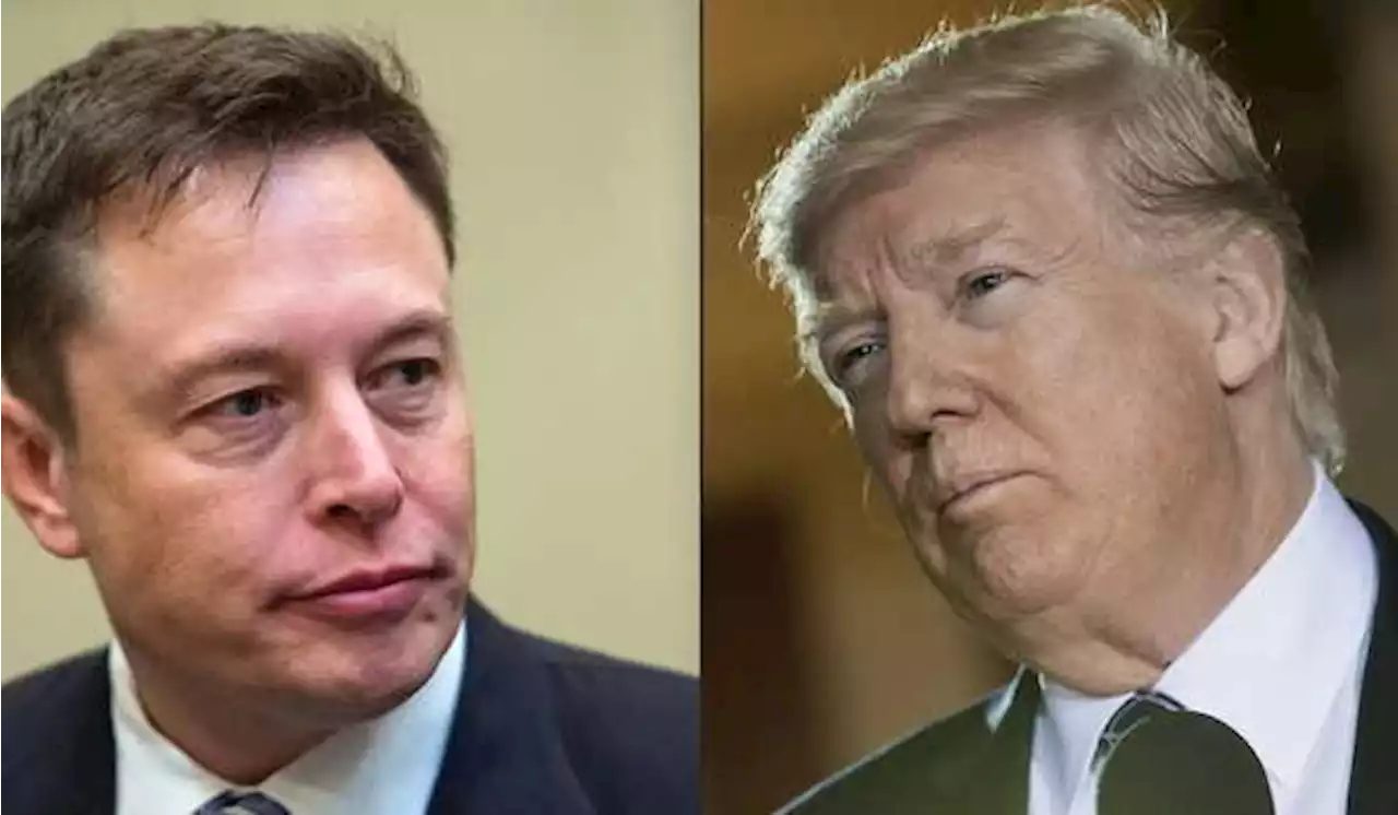 Elon Musk Janji Batalkan Larangan Twitter pada Trump