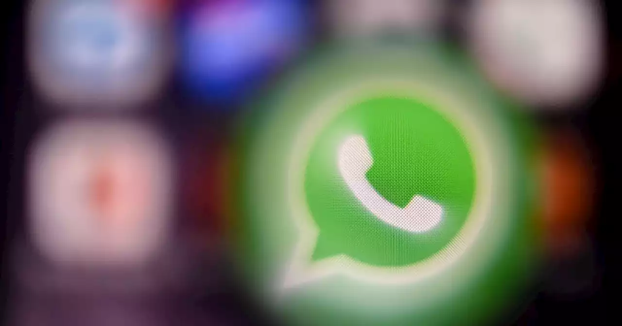 WhatsApp Web: ¿cómo reaccionar con emojis a los estados y mensajes?