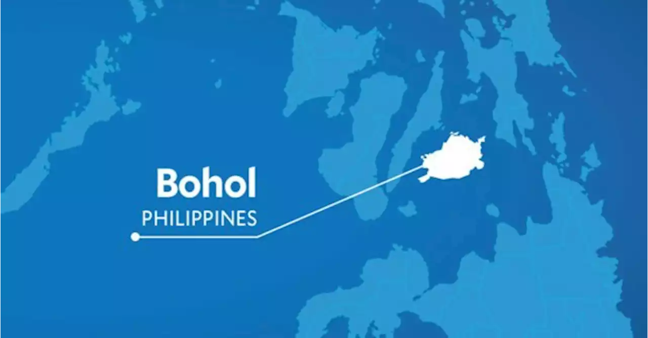 Two seamen are new pols proclaimed mayors in Bohol