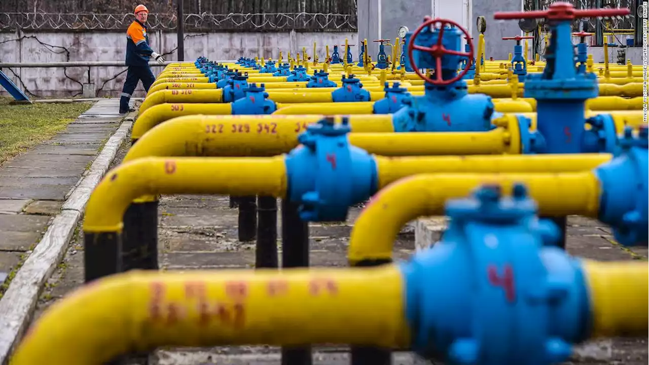 Ukraine halts some Russian gas flows to Europe