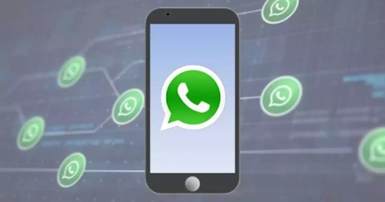 Cambian los mensajes de WhatsApp: se viene la funci�n que todos ped�an para los chats