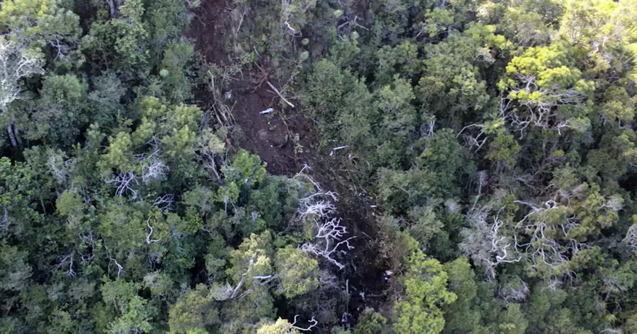 Hawaii helicopter crash that killed 7 was '100% preventable'